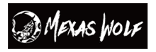 株式会社mexaswolf