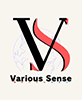 株式会社 VariousSense