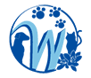 株式会社WIT