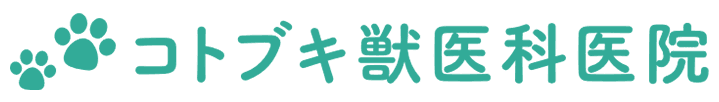 有限会社ソックス